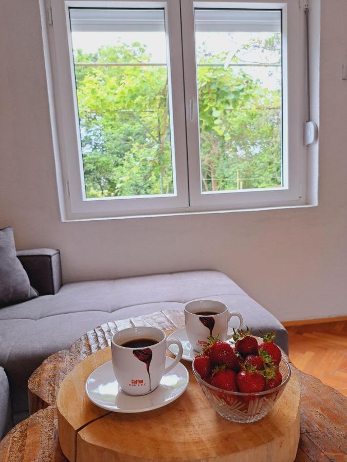 Guest House Green River Ljubuški Eksteriør bilde